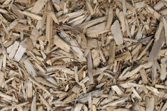 biomass boilers Trebudannon