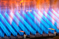Trebudannon gas fired boilers